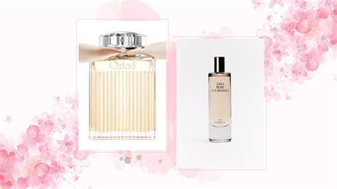 roses de chloe dupe|chloe signature dupe price.